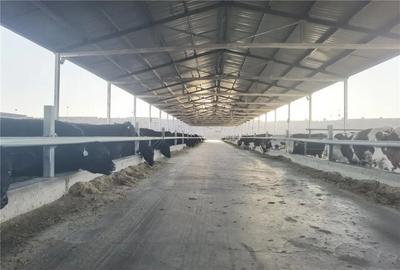 走一线 改文风丨坑里养殖 顶上发电 废砂坑里长出“牛”产业