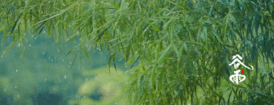 【病媒防制】準(zhǔn)格爾旗疾控中心積極開展病媒生物防治工作檢查，筑牢群眾健康防線