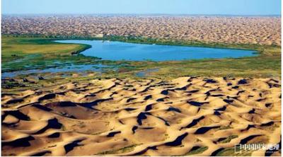 26%的金黃之地，容顏正在改變