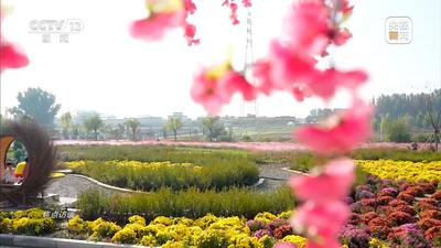 焦點訪談丨生態(tài)“含綠量”提升民生福祉“含金量” 良好生態(tài)人人共享