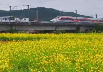 春日限定鐵路風景，坐著火車去賞花