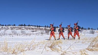 嚴(yán)防林草火災(zāi)！呼倫貝爾全面進(jìn)入春季防火高峰期