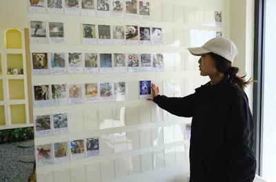 為“毛孩子”體面送別  95后女孩不一樣的創(chuàng)業(yè)路