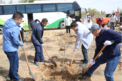 中華財險內(nèi)蒙古分公司開展“同心四十載 植綠向未來”主題植樹活動