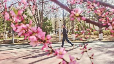 春满乌海 律动新生