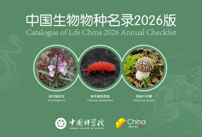 中國生物物種“家底”又厚了！2026版名錄新增6154個