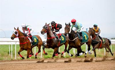 貫穿夏秋黃金賽馬季！2026內(nèi)蒙古呼和浩特速度賽馬常規(guī)賽啟幕
