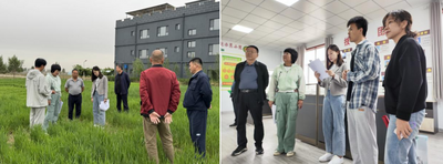 巴彥淖爾市委組織部赴烏中彩色小麥科技小院調研考評