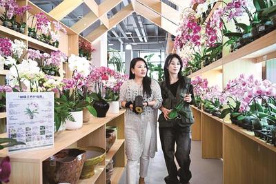 花漾街區(qū) 愜意生活