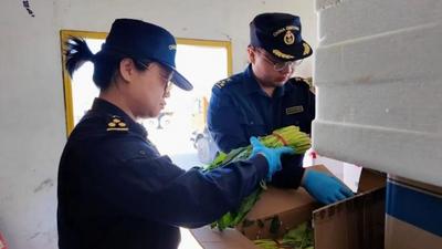 翻三倍！策克口岸蔬菜對(duì)蒙出口爆發(fā)式增長(zhǎng)