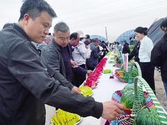 哪家品种好 田间见分晓