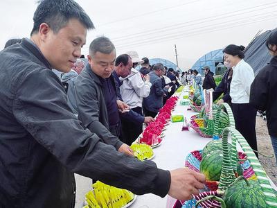哪家品種好 田間見分曉