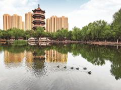 绘就生态画卷