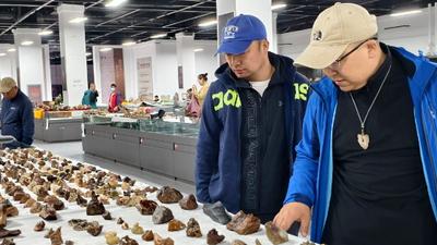 2026春季阿拉善玉?觀賞石文化旅游活動(dòng)圓滿收官