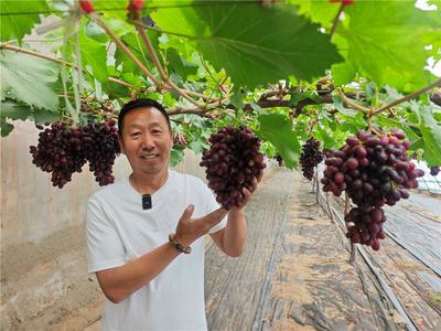 行政+司法+检察三部门联动！乌海市出台地理标志协同保护制度