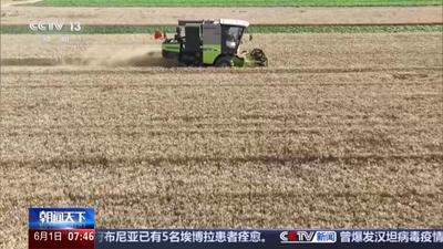 三夏“麥收地圖”更新 全國已收小麥7613萬畝