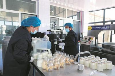 开鲁县：乳香贯通产业链