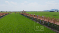 气象局局长拿数据说话 来兴安盟清凉避暑