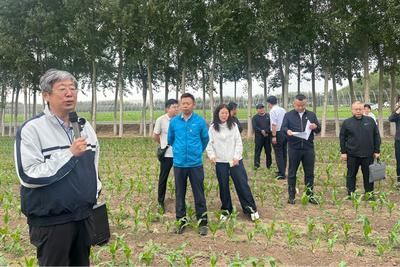 抢抓农时开展植保培训 科技赋能粮食稳产增收
