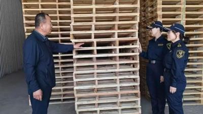 从屡屡被退到卖遍10国！呼伦贝尔这家村办小厂，靠海关帮扶逆袭出海