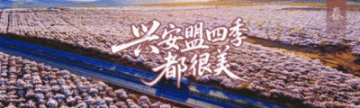 19对新人集体婚礼甜度爆表！兴安盟这场“中式浪漫”太有排面了