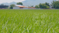 中国气象局定点帮扶突泉县!一守就是13年