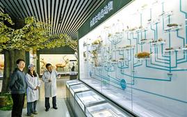 从一粒草种到一片草原  