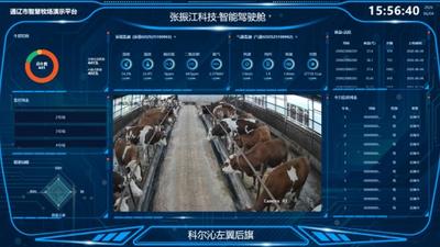 通辽300万头牛，“持证上岗”！