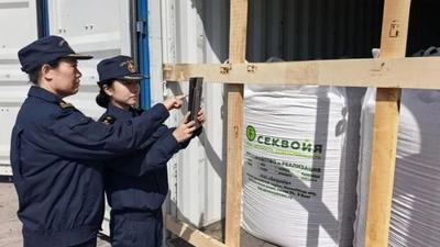 不用再转运了！可一站式查验