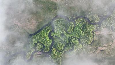 根河市：林海育新业 “冷极”绘绿图