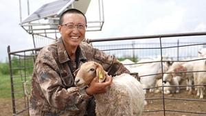 走一线 改文风 | 呼伦贝尔市肉羊溯源突破百万只 数智赋能牧业提质升级
