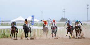 驰骋敕勒川