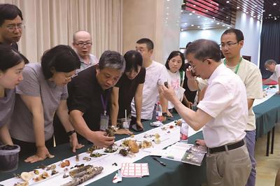 聚焦菌物科研 共护生物多样