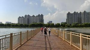 碧波映浮桥！辽河公园人行浮桥全新上线