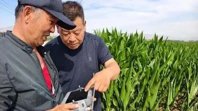 阿拉善盟农牧局：深耕沃野 实干惠民