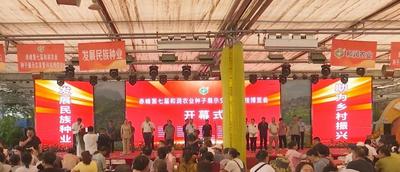 1509个品种集中亮相！元宝山这场种博会激活乡村振兴“芯”动能