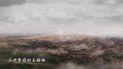 青海贵南：沙止步 绿绵延