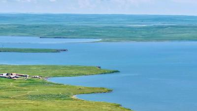 呼伦湖成为我国最大的鸿雁繁殖、换羽地