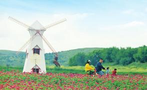 百花盛开迎客来