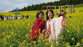 油菜花海扮靓阿尔山夏日