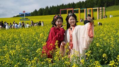 油菜花海扮靓阿尔山夏日