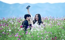 秀美草原迎客来