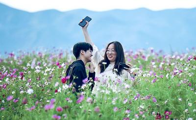 秀美草原迎客来