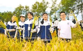 同心研学 体验丰收  