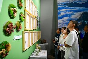 贺兰山生态保护主题展在内蒙古美术馆展出