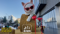 麦草卷搭配潮酷猫咪 草原元素拉满