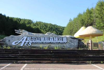 童话阿尔山丨森愈身心，藏在林海的童话疗愈