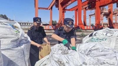 200小时→20小时！二连口岸通关改革为企业省下真金白银