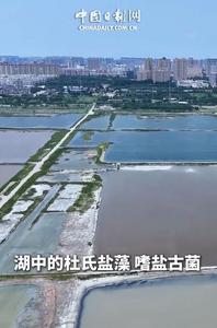 忠义天下丨一场“Color Hunting”读懂运城的千年底色