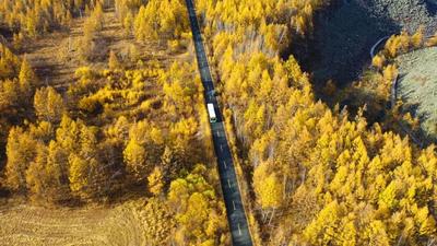 阿尔山秋景提前上线 初秋生态文旅持续升温